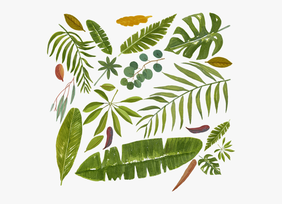 Illustration, Transparent Clipart