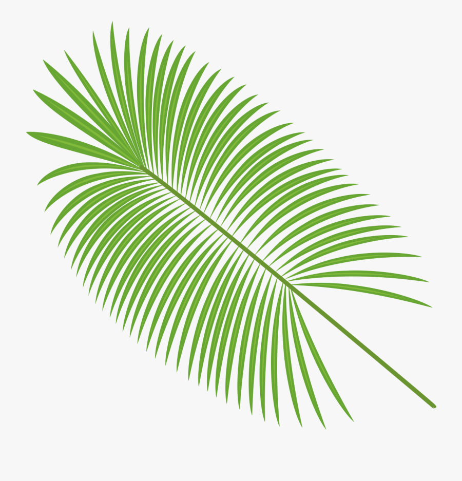 Clip Art Palm Tree Leaves Vector - Vector Palm Leaves Png, Transparent Clipart