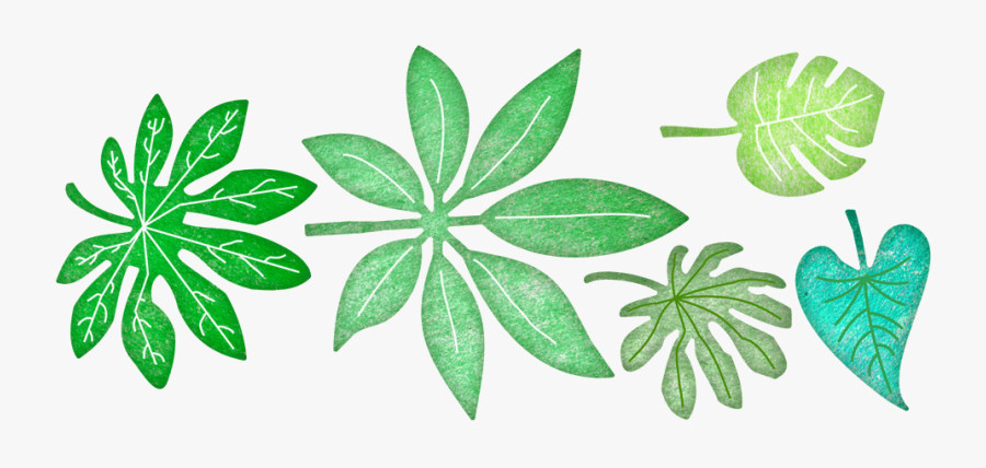 Picture Of Tropical Leaves"
									 Title="tropical - Leaf, Transparent Clipart