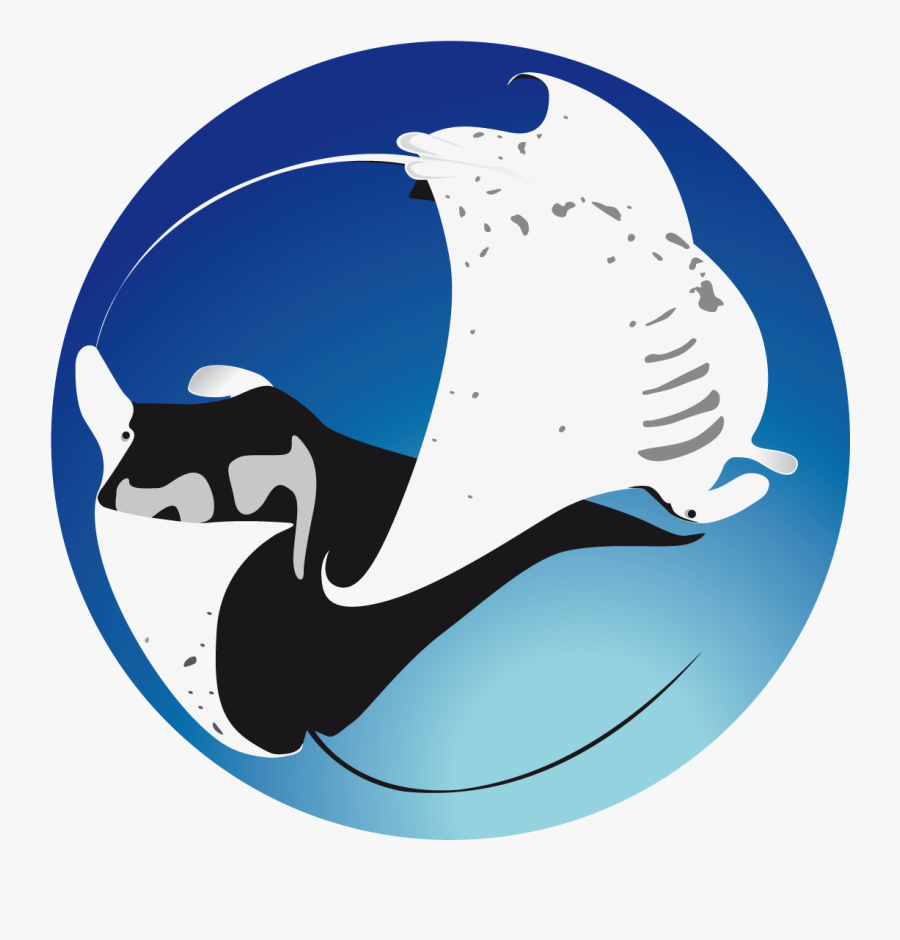 Project Manta T Shirt, Transparent Clipart