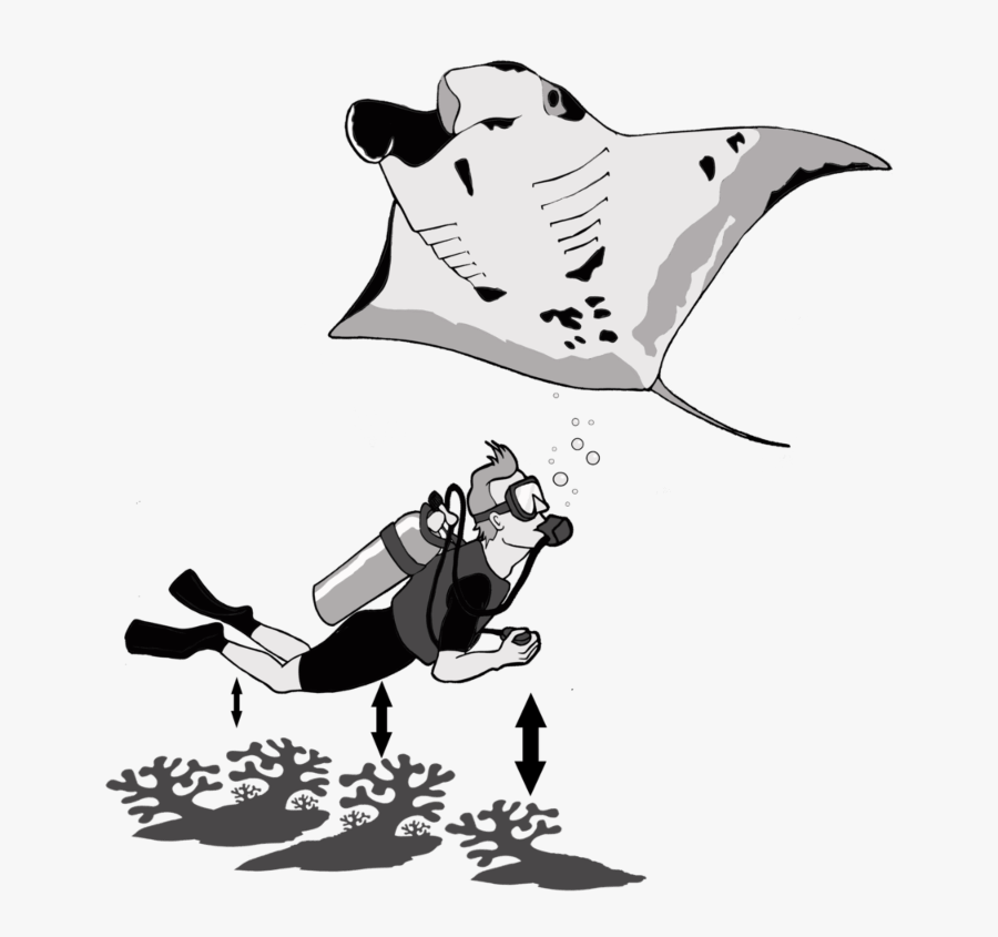 Illustration, Transparent Clipart