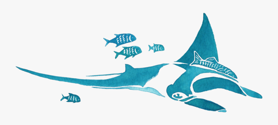 Teemanta - Atlantic Blue Marlin, Transparent Clipart