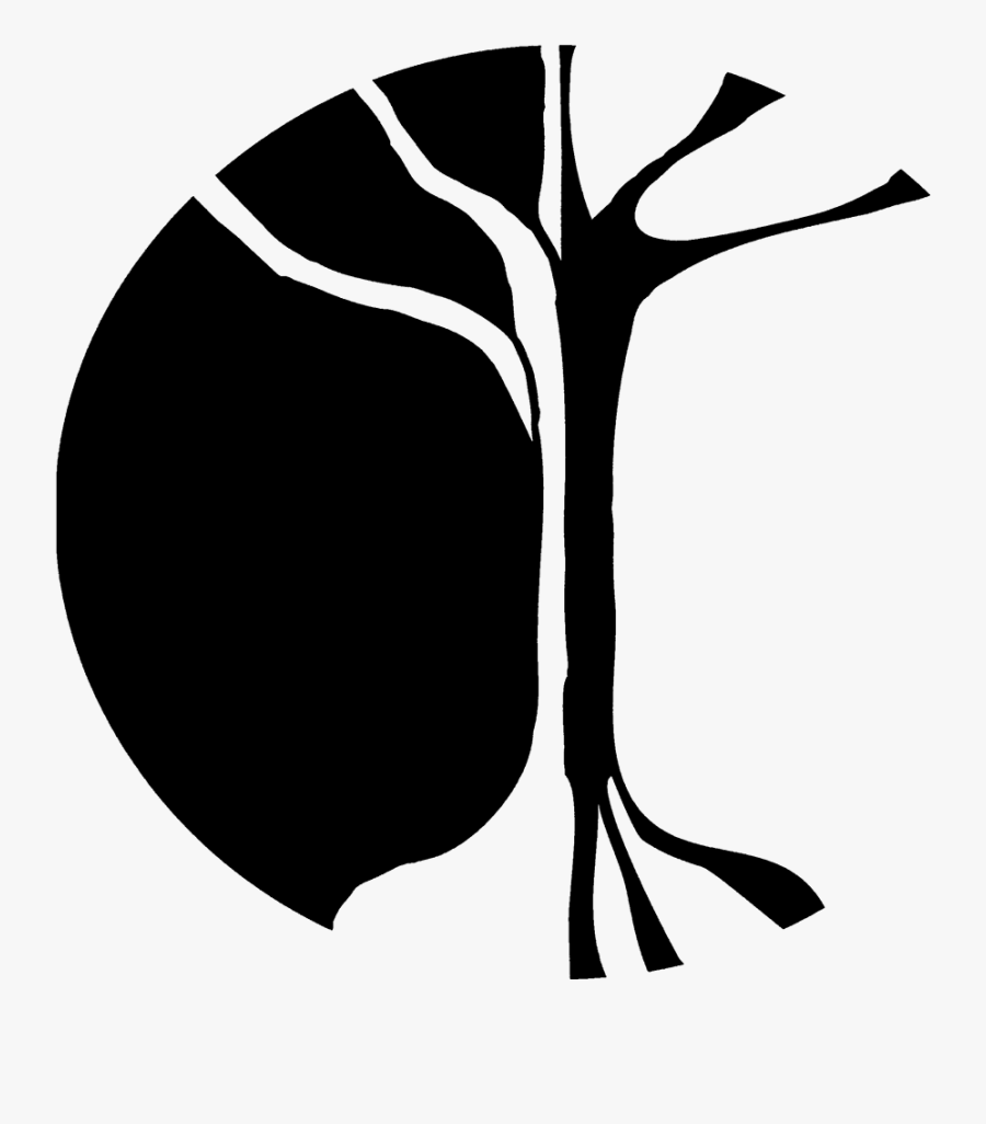 Illustration, Transparent Clipart