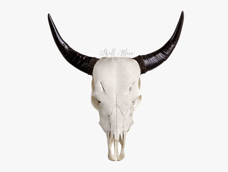 Transparent Longhorn Head Clipart - Skull Bliss, Transparent Clipart