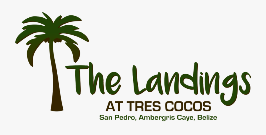 Hotel-xenia - Amkus, Transparent Clipart