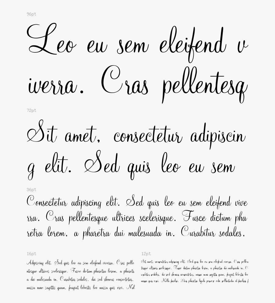 Document, Transparent Clipart