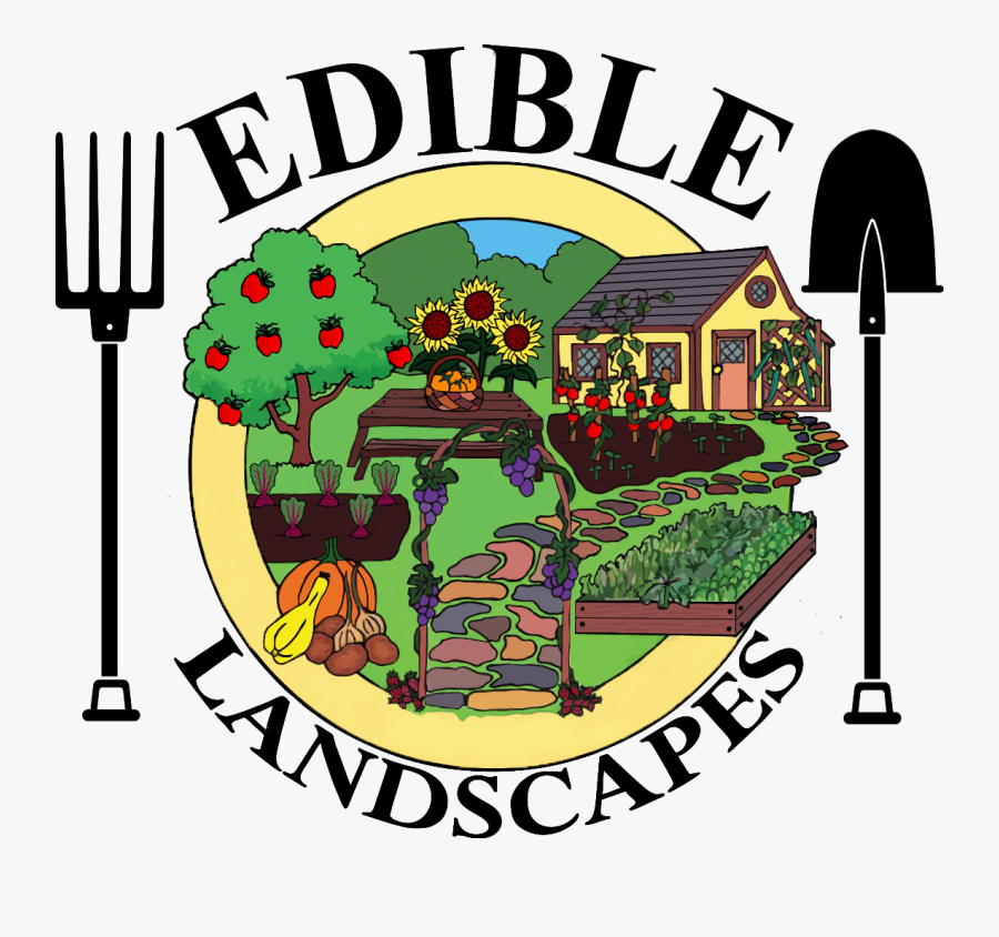 Market Research, Transparent Clipart