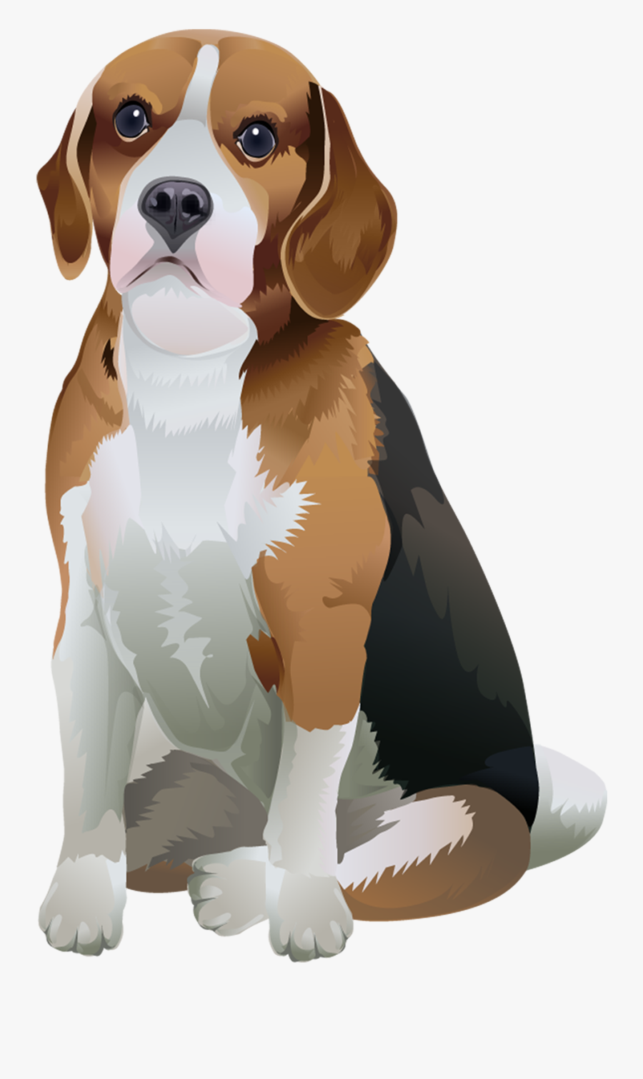 Beagle Vector Leash - Beagle Vector Png, Transparent Clipart