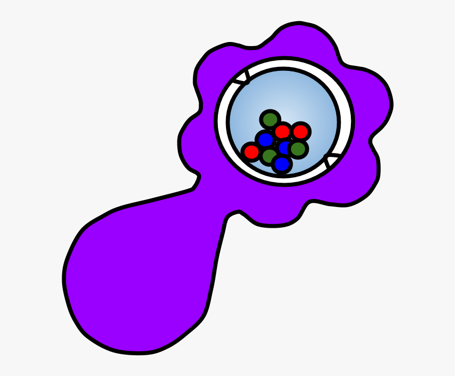 Rattle, Noise, Balls, Purple, Transparent Clipart