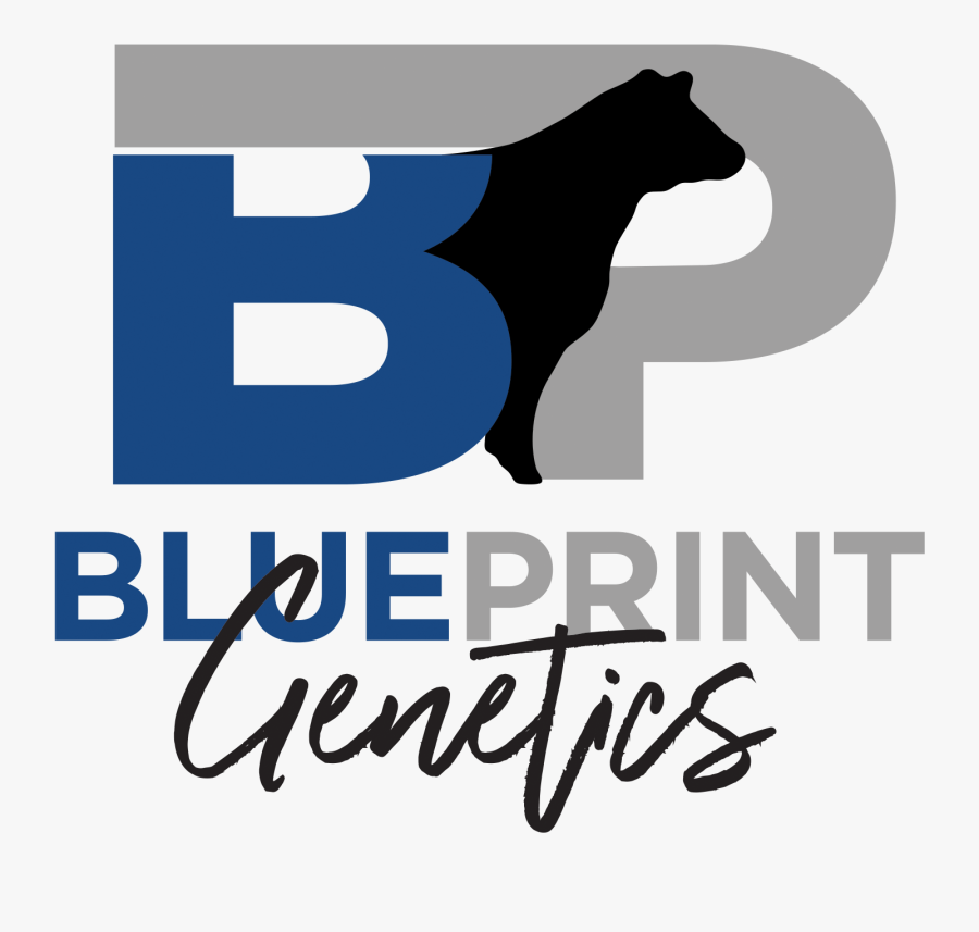Blueprint Genetics - Poster, Transparent Clipart