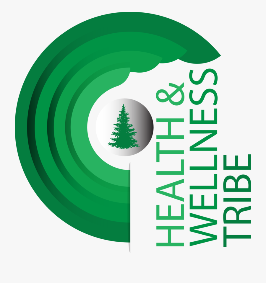 Adobe Flash, Transparent Clipart