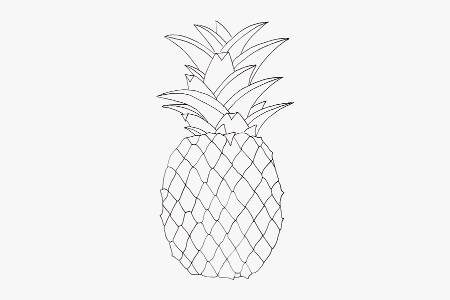 White Drawing Pineapple - Pineapple Pictures To Colour, Transparent Clipart