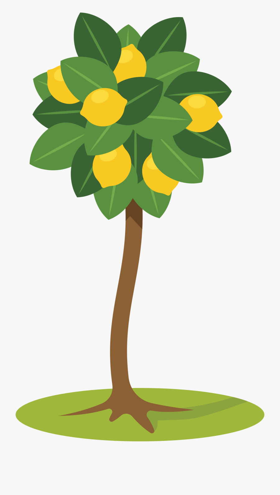 Tree Free Download Clip - Lemon Tree Clip Art, Transparent Clipart