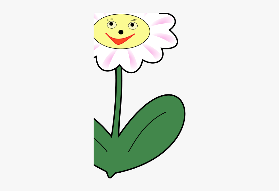 Daisy Simle, Transparent Clipart