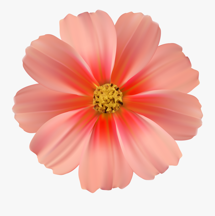 Transparent Flower Clipart Png, Transparent Clipart