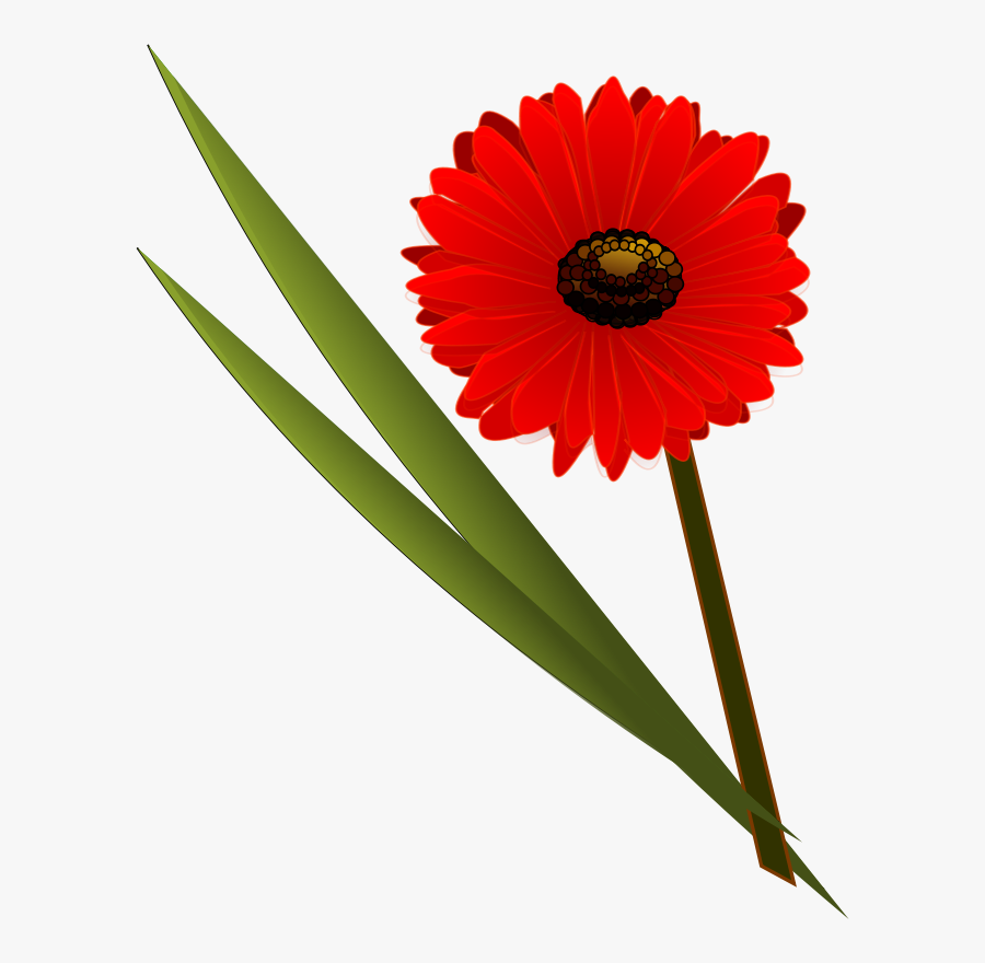 Bouquet Clipart Daisy Bouquet - Flower Clip Art, Transparent Clipart