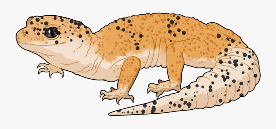 Gila Monster, Transparent Clipart
