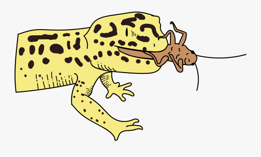 Clip Art, Transparent Clipart