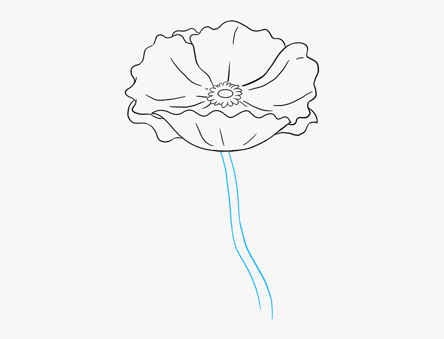 How To Draw Poppy - Easy California Poppy Drawings, Transparent Clipart