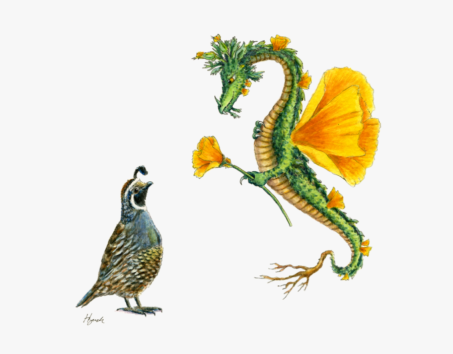 "dragon Art""flower Dragon - California, Transparent Clipart