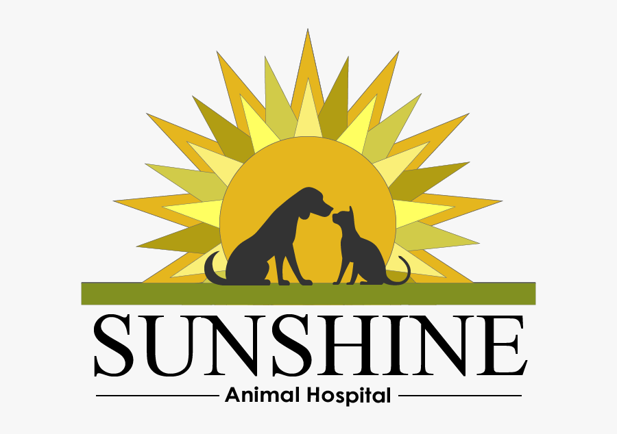 Search Engine Roundtable Logo, Transparent Clipart