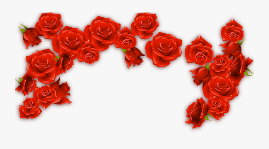 Clip Art Rosxe Rose Border Transprent - Transparent Red Roses Border, Transparent Clipart
