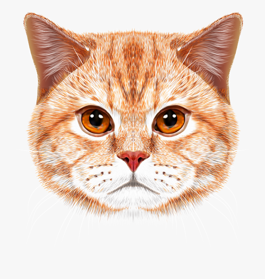 Orange Tabby Cat Face, Transparent Clipart