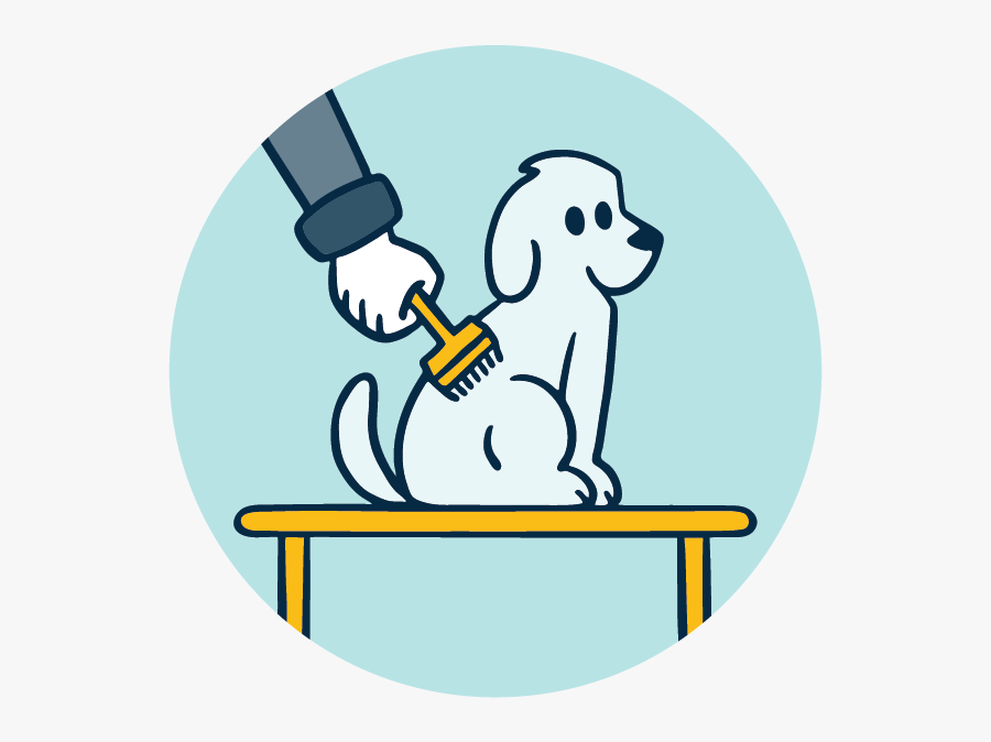 Spaw Groom Hand - Cartoon, Transparent Clipart