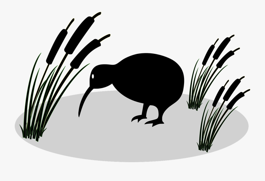 Anonymous Bird Kiwi Free Picture - Kiwi Bird New Zealand Flag, Transparent Clipart
