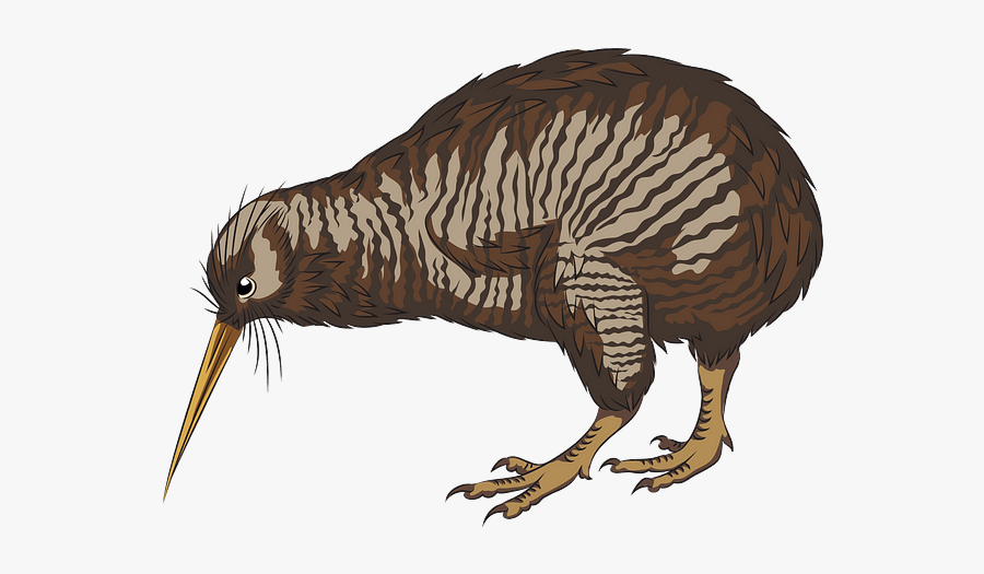 Punxsutawney Phil, Transparent Clipart