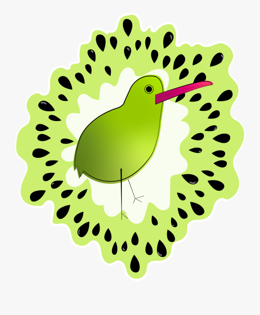 Kiwi - Illustration, Transparent Clipart