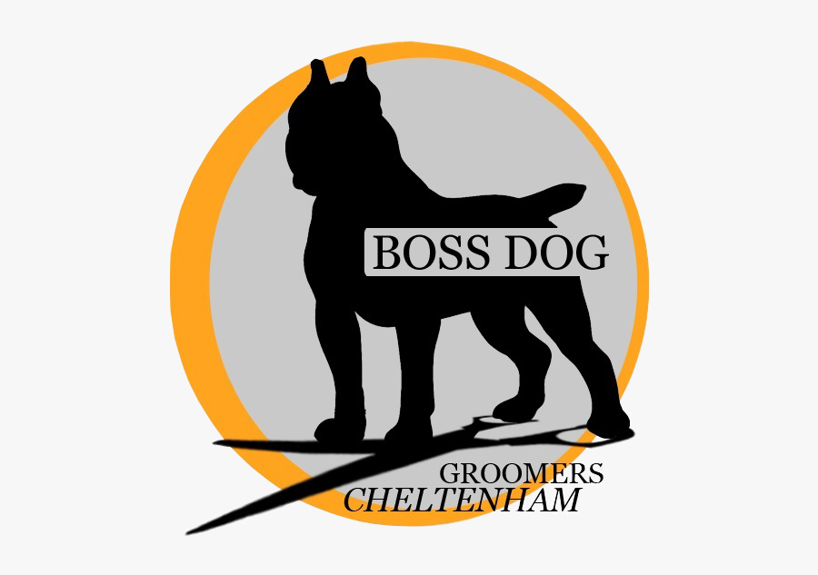 Boss Dog Grooming Cheltenham Dog Groomer - Kishu, Transparent Clipart