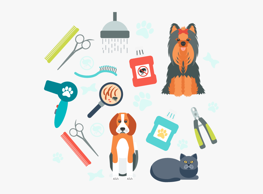 Vector Graphics, Transparent Clipart