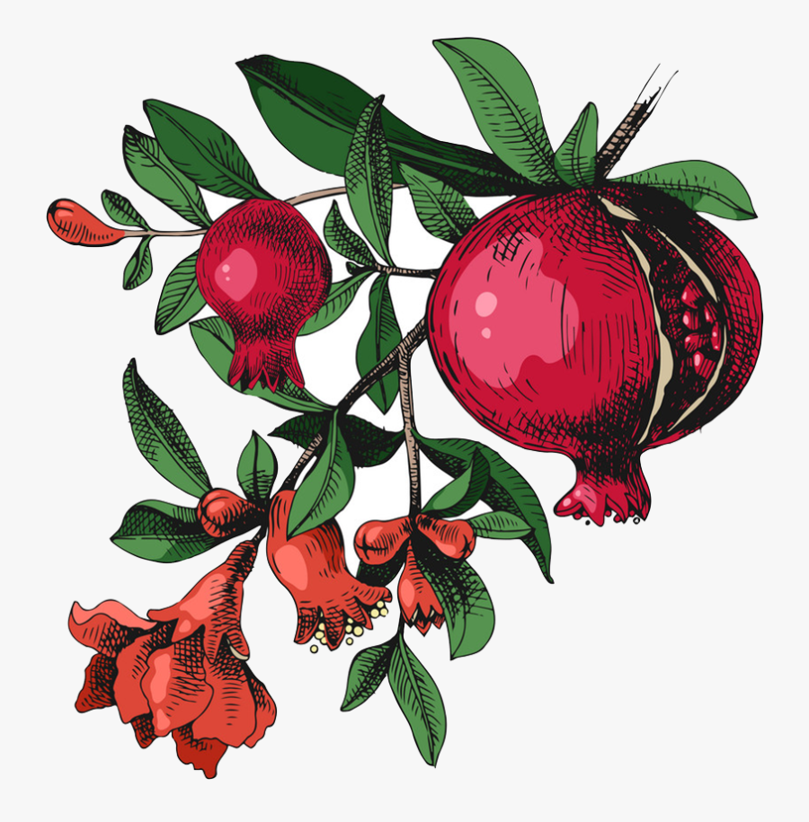 שנה טובה 5780, Transparent Clipart