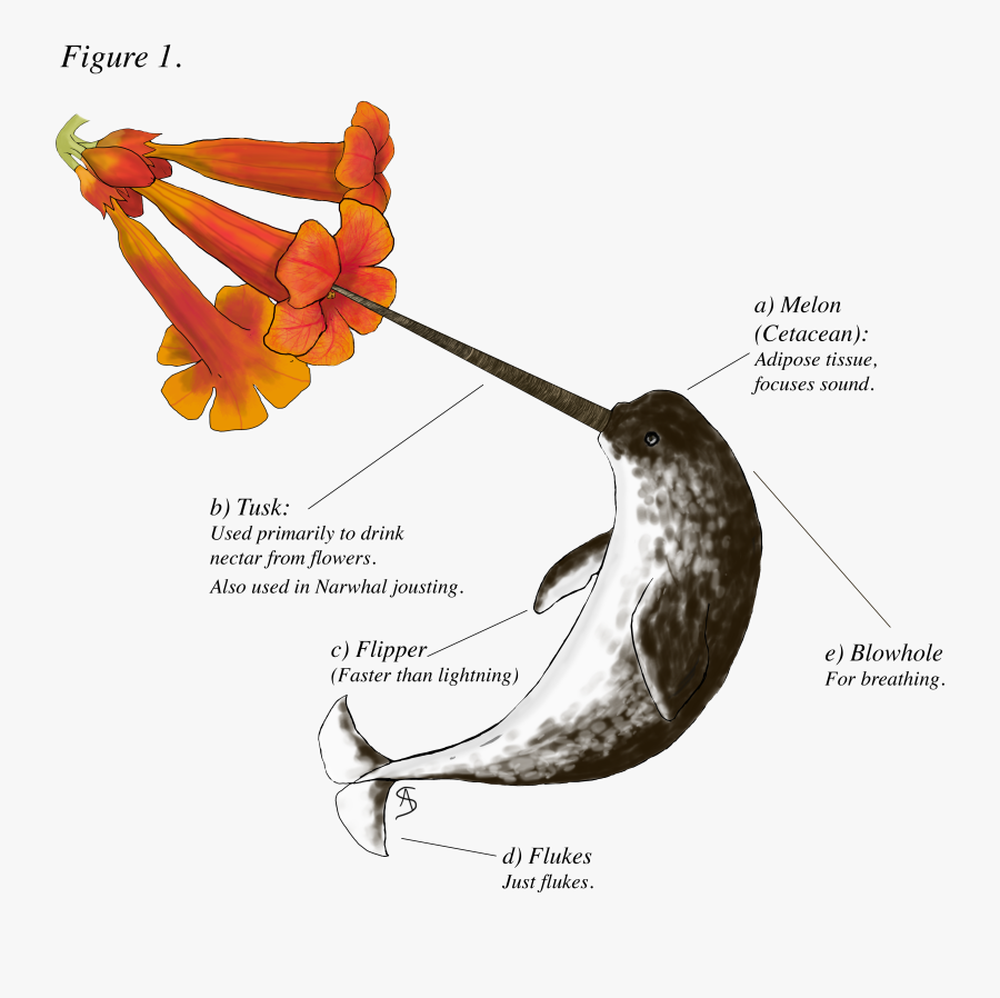 T-shirt, Transparent Clipart