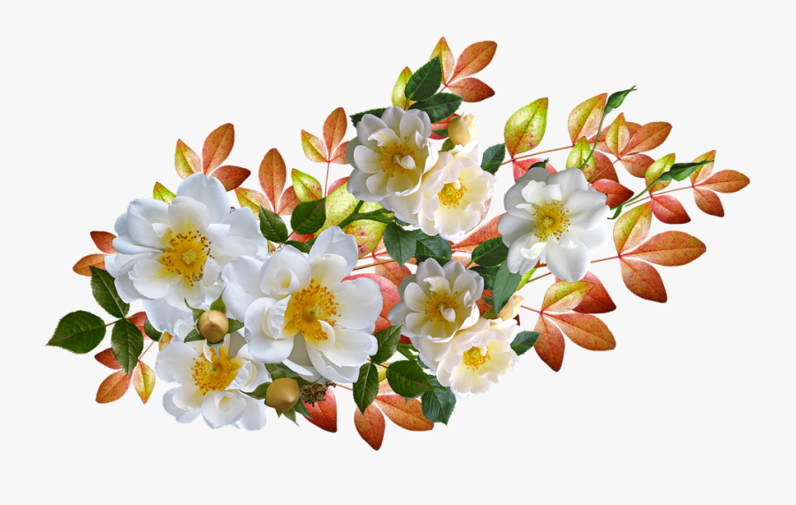Roses, Flowers, Autumn, Leaves, Arrangement, Cut Out - Love, Transparent Clipart