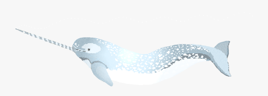 Narwhal Oney - Illustration, Transparent Clipart
