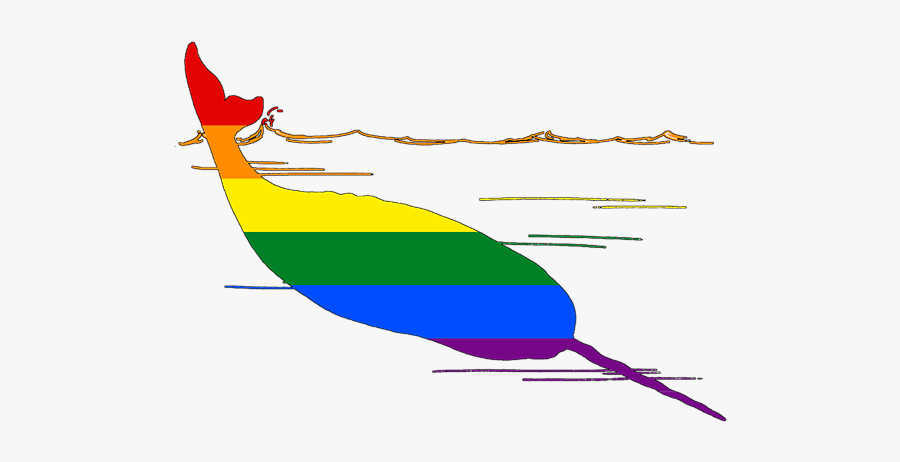 Narwhal, Transparent Clipart