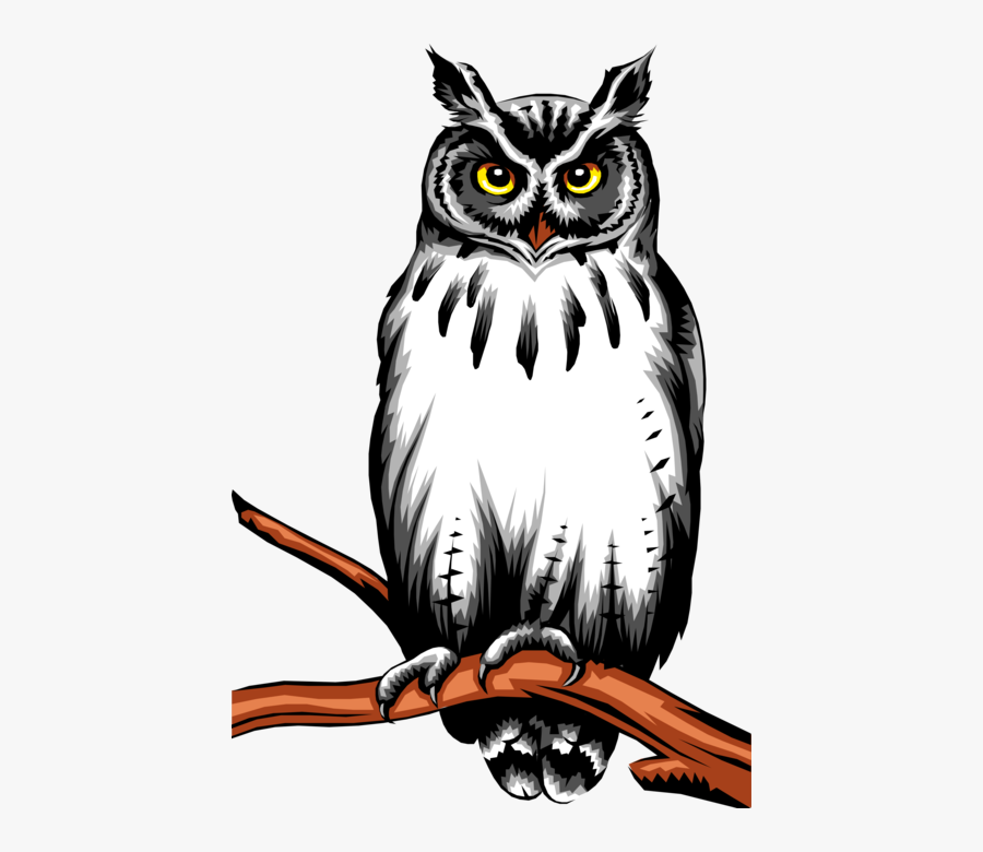 Owl Perched Black And White, Transparent Clipart