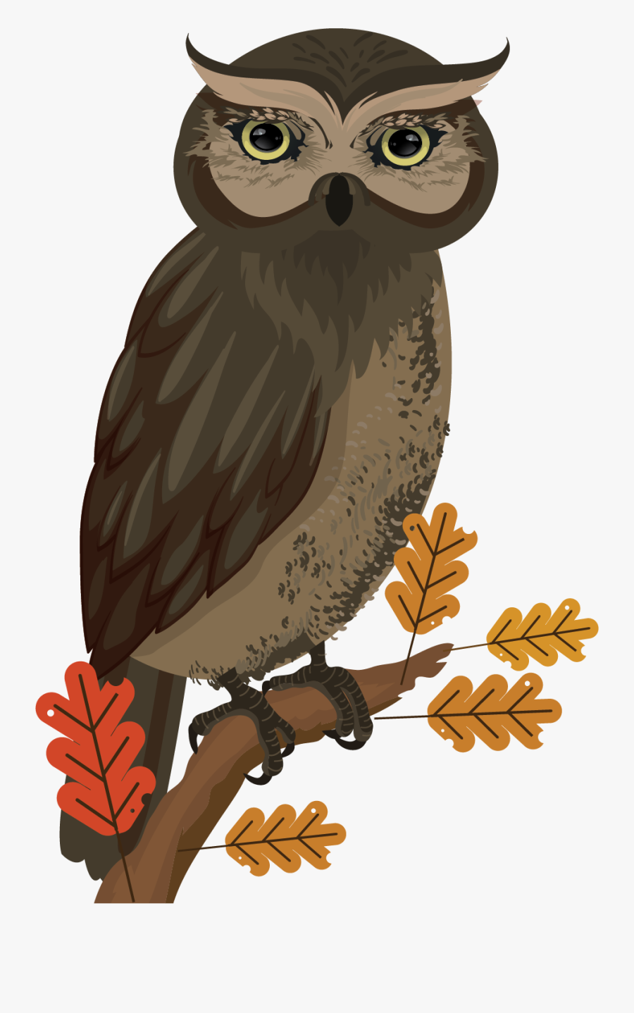 Owl, Transparent Clipart