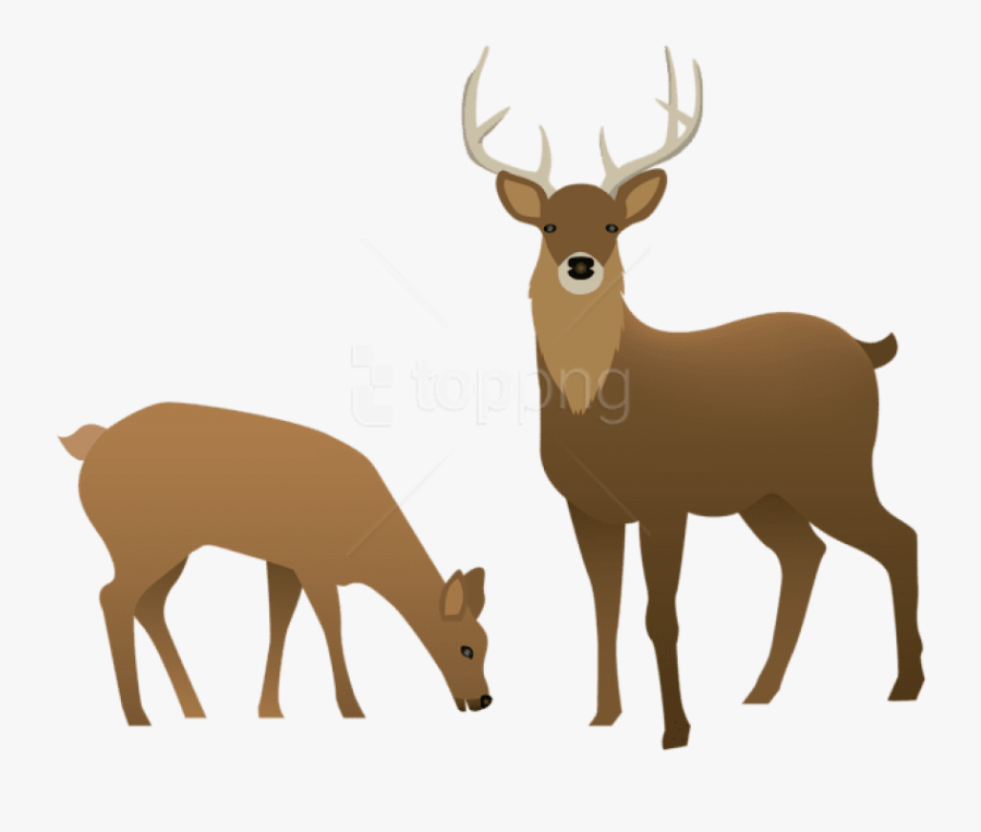 Free Png Stag And Doe Png Images Transparent - Transparent Background Deer Clipart, Transparent Clipart