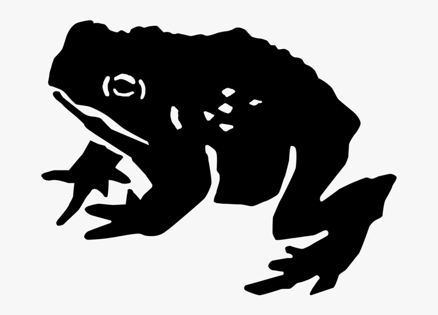 Toad Vector - Bufo, Transparent Clipart