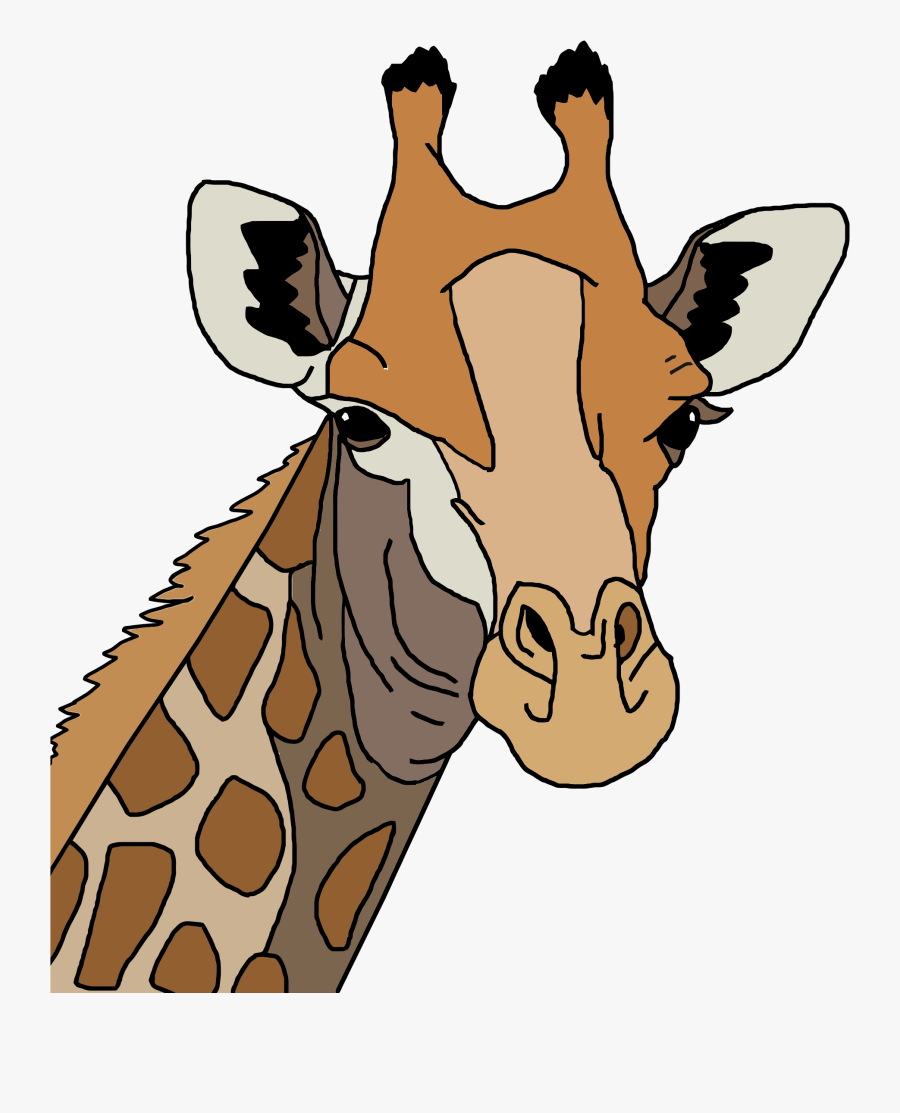 Colored Icons Png Free And Downloads - Giraffe Coloring Page Head, Transparent Clipart