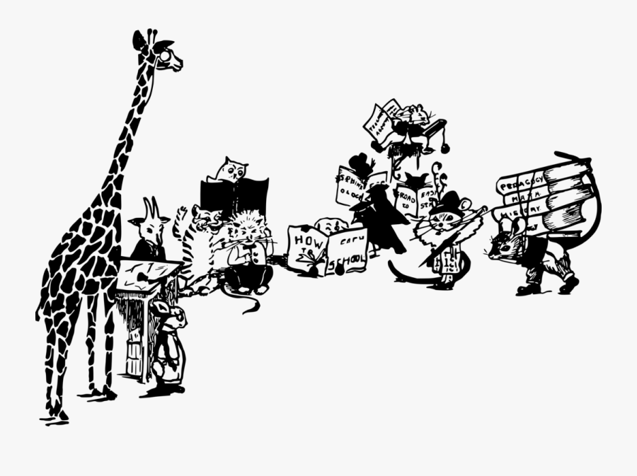 Giraffidae,line Art,wildlife - School, Transparent Clipart