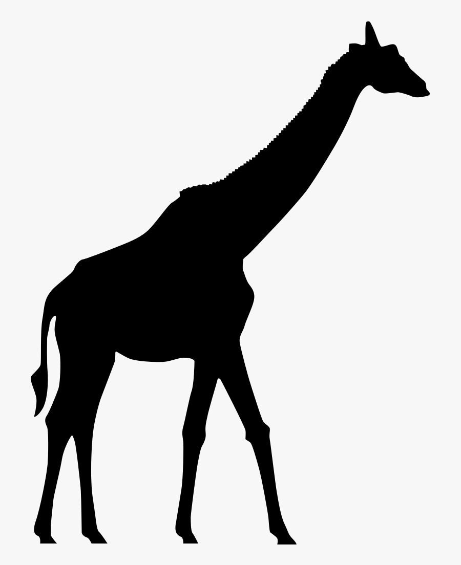 Giraffe Silhouette Clip Art - Giraffe Silhouette, Transparent Clipart