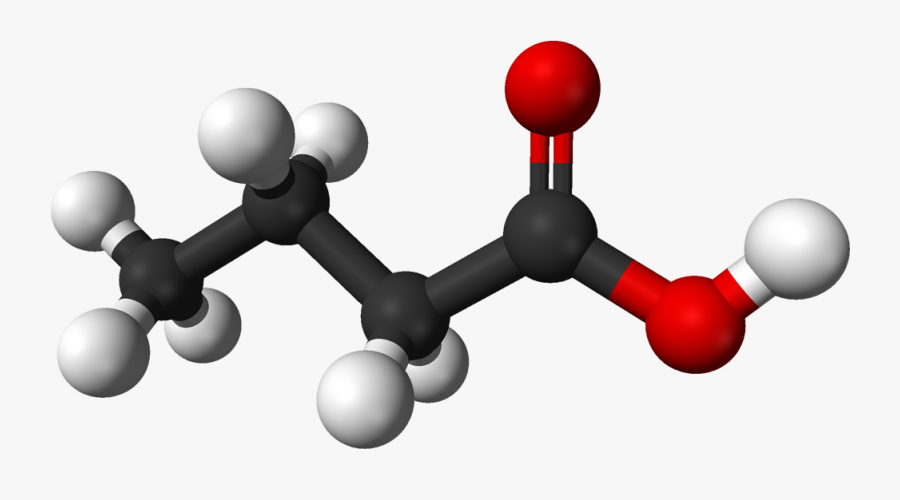 Acidos Grasos De Cadena Corta, Transparent Clipart