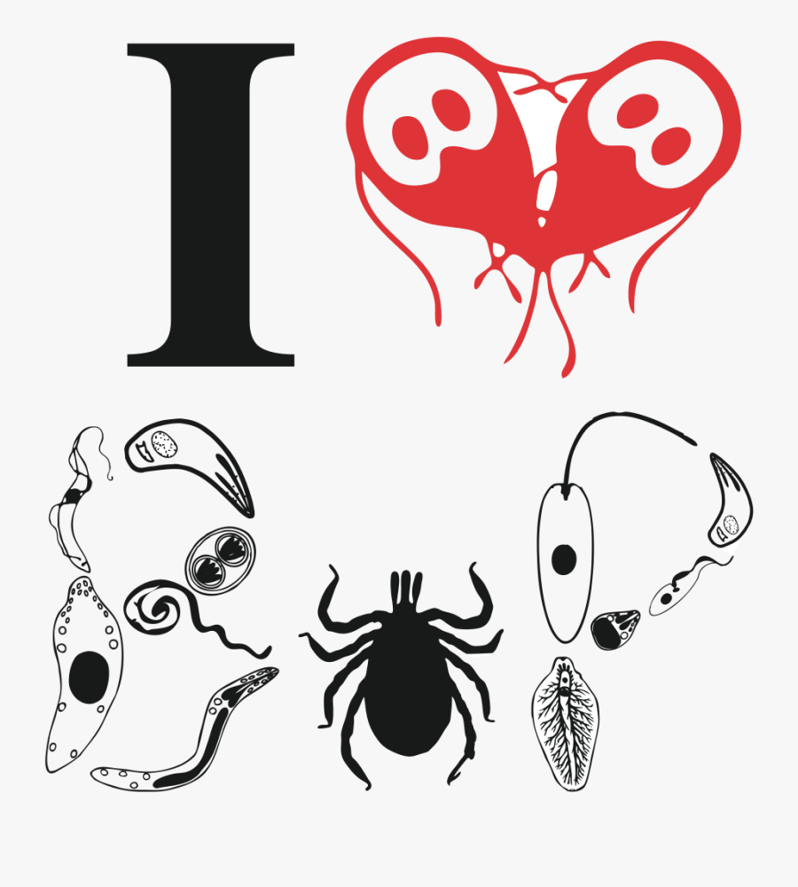 Clip Art, Transparent Clipart