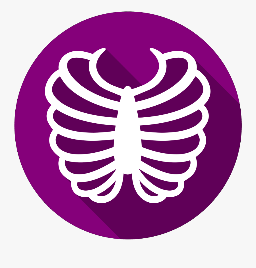Rib Cage Vector Graphics Computer Icons Bone - Rib Bone Clipart Png, Transparent Clipart