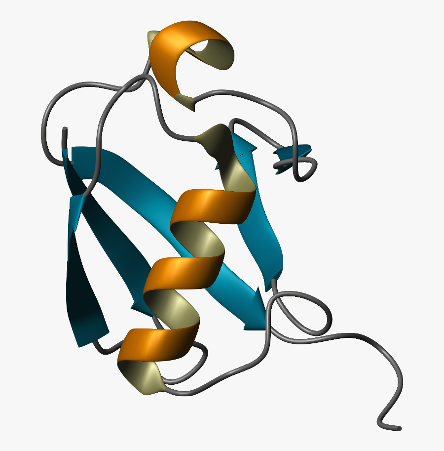 Ubiquitin Ribbon Diagram - Ubiquitin Protein Png, Transparent Clipart