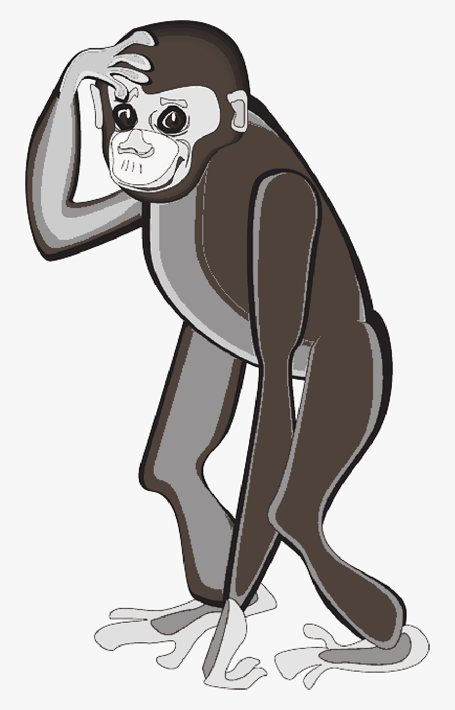 Cartoon Art Standing Animal Chimp Scratching Illustration- - Monkey, Transparent Clipart